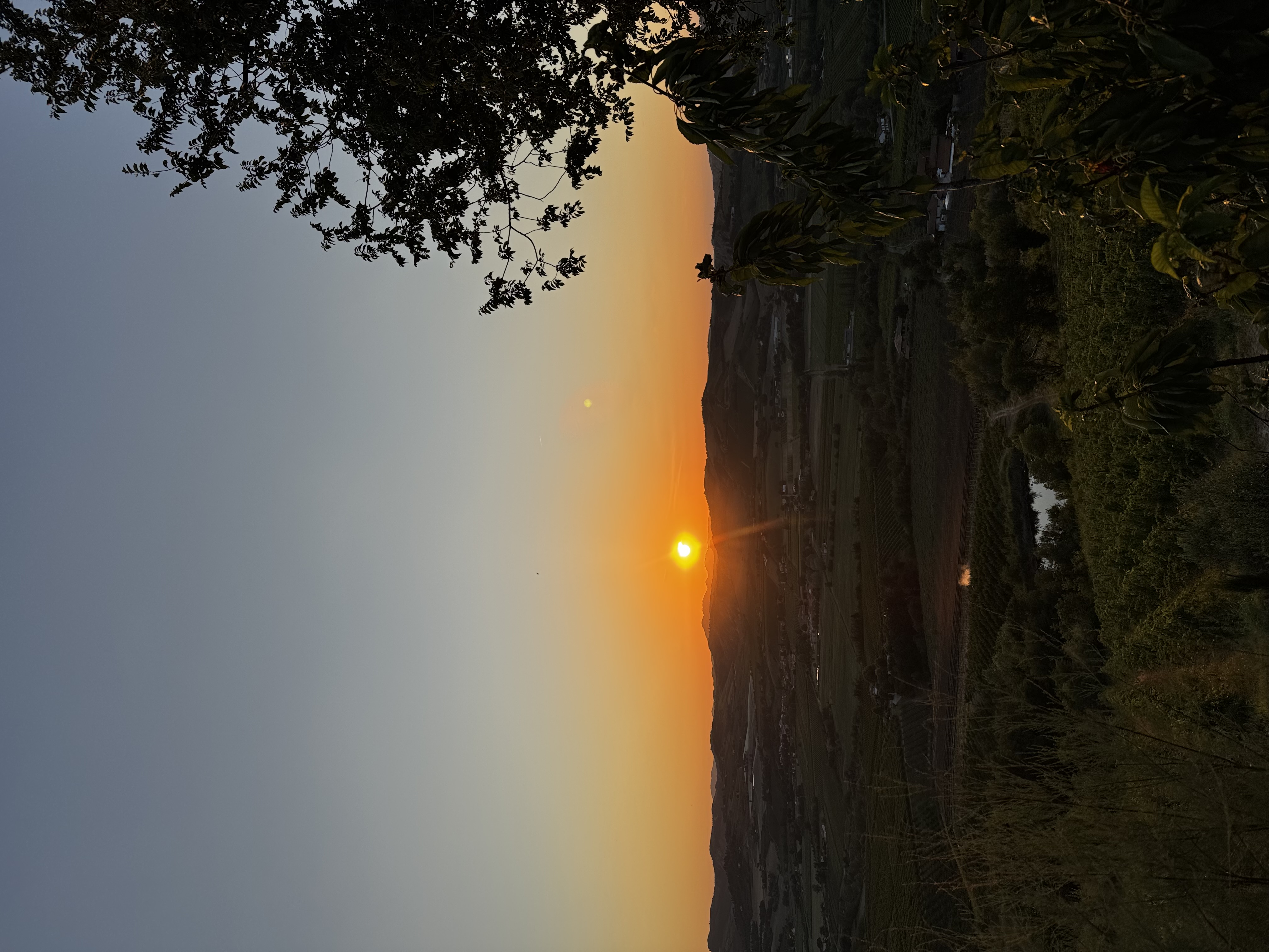 Veduta della tenuta Poggio Pollino al tramonto